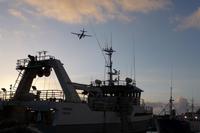 Hafen von Reykjavik 3