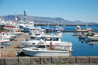 Am Hafen von ReykjavÃ­k
