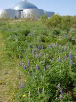 Blick auf die Perlan