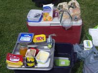 Picknick am Wasserfall Skogafoss