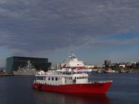 auf der Walbeobachtungstour