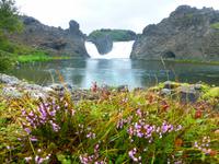 Wasserfall Hjalparfoss
