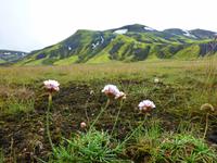 Landschaft im Hochland Landmannalaugar
