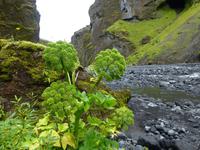 Im Hochland Thorsmörk