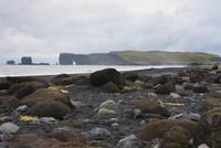 An der Küste bei Vik - Felsen Dyrholaey