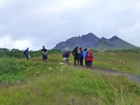 Wanderung im Skaftafell-Nationalpark