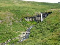 Svartifoss im Skaftafell-Nationalpark