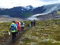 Auf zum Gletscher Falljökull bei Skaftafell