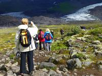Auf zum Gletscher Falljökull bei Skaftafell