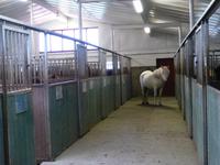 Im Reiterhof Hestheimar - Ställe