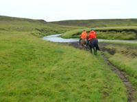 Reitausflug auf Islandpferden in Süd-Island