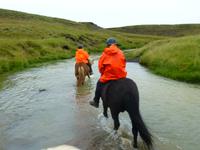 Reitausflug auf Islandpferden in Süd-Island