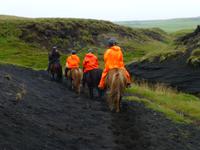 Reitausflug auf Islandpferden in Süd-Island