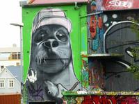 Bummel in Reykjavik