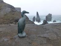 Am Vogelfelsen Eldey an der Südküste