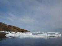 0234 Impressionen Küste von Tasiilaq