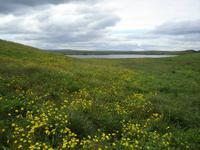 077 Impressionen Nordküste