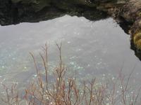 Thingvellir Nationalpark