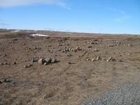 Thingvellir Nationalpark