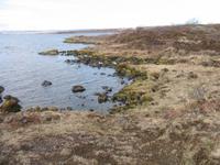 Thingvellir Nationalpark