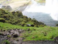 Seljalandsfoss