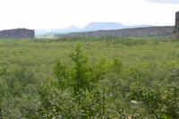 Island - Felsenschlucht Asbyrgi