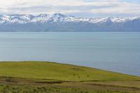 Island - Halbinsel Tjörnes