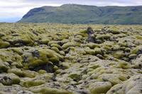 Island - Sudurland - Bemooste Lava