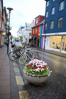 Reykjavik Stadtzentrum