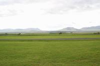 Island - Islandpferde zeigen Tölt