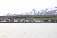 Island - Walewatching - Blick auf die Insel Hrisey