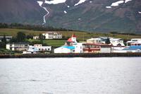 Island - Walewatching - Blick auf die Insel Hrisey