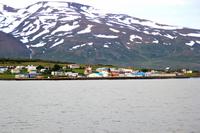Island - Walewatching - Blick auf die Insel Hrisey