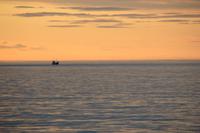 Island - Walewatching - Blick auf den Eyjafjördur