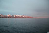 Island - Walewatching 