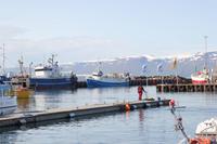 Island - Husavik Hafen