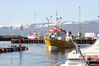 Island - Husavik Hafen