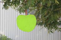 Island - Husavik - Deko