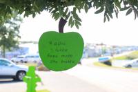 Island - Husavik - Deko