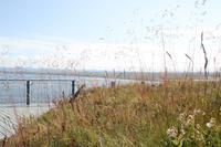 Island - Halbinsel Tjörnes