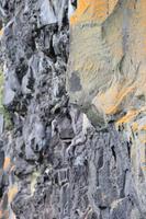 Island - Felsenschlucht Asbyrgi