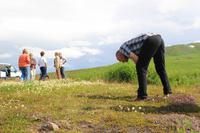 Island - Halbinsel Tjörnes - Fotostopp und Moosbeeren