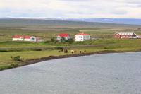 Island - Myvatn