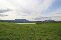 Island - Myvatn - Pseudokrater 