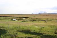 Island - Bauernhof in der Hochebene