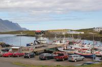 Island - unterwegs nach Höfn