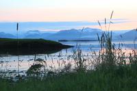 Island- Höfn
