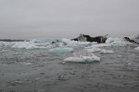 Island - Gletschersee Jökulsarlon