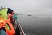 Island - Gletschersee Jökulsarlon