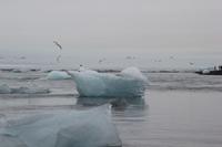 Island - Gletschersee Jökulsarlon